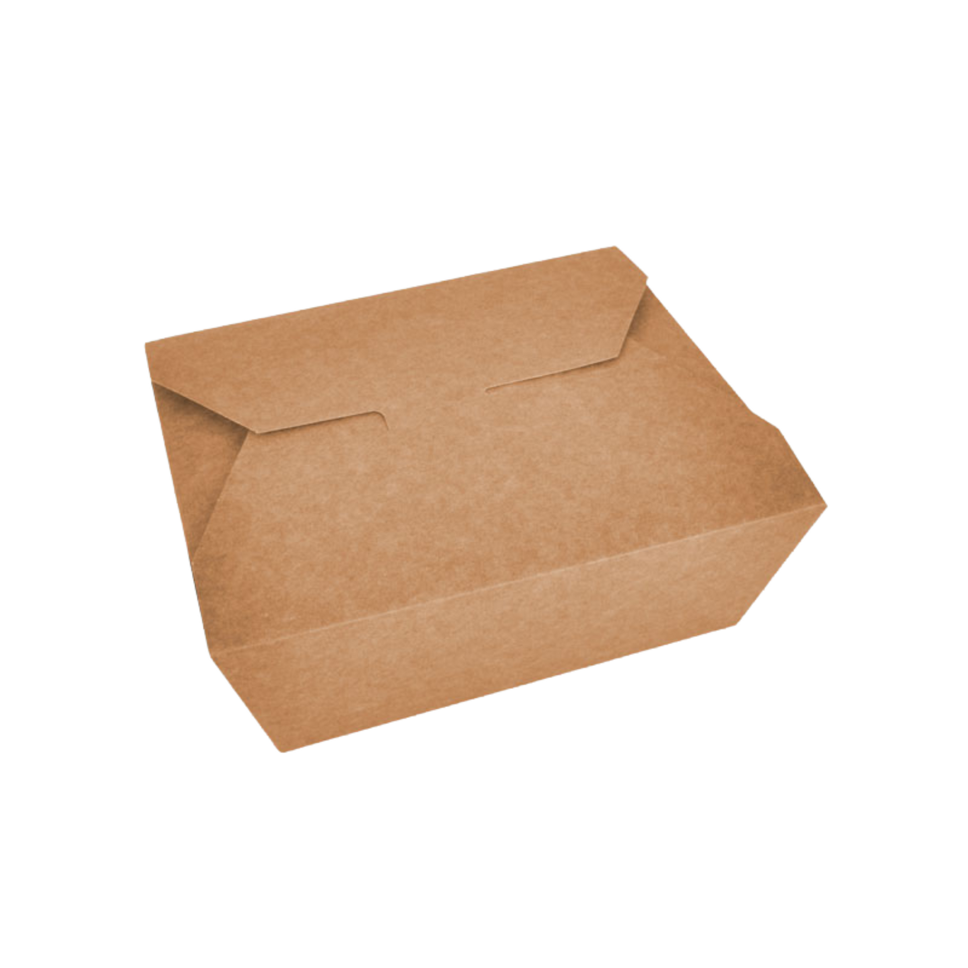 Bio-Foodcase - kompostierbare Snackbox mit Faltdeckel 150x120x65 - 200 Stück